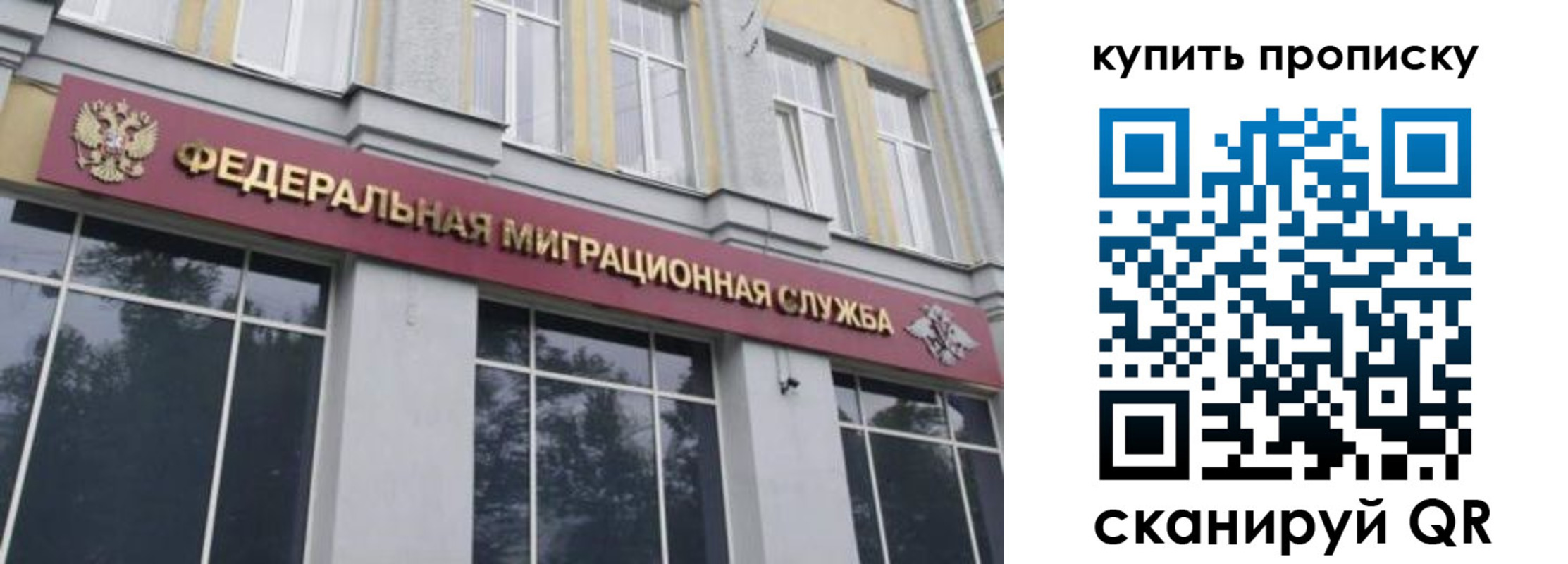 прописка поиск в Опочке